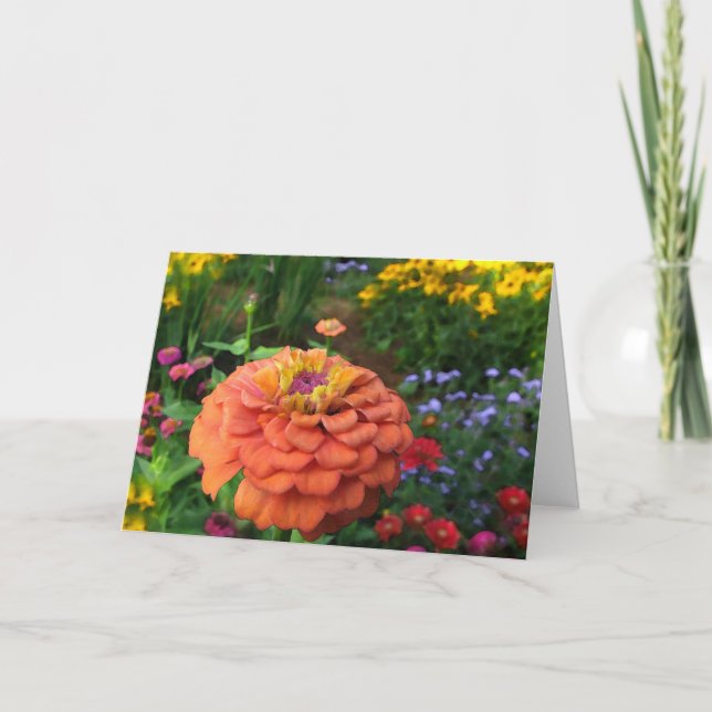 O jardim colore o cartão (Frente)