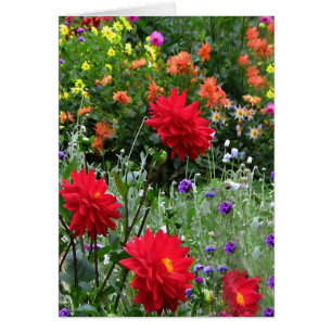 O jardim da dália floresce o cartão floral