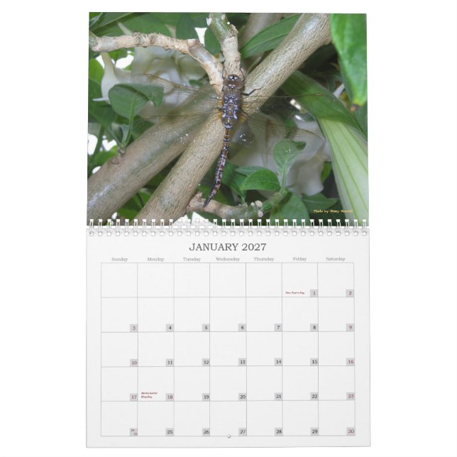 O jardim quer saber o calendário 2013 (Jan 2027)