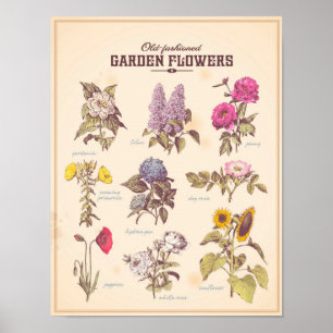 O jardim retro floresce o poster