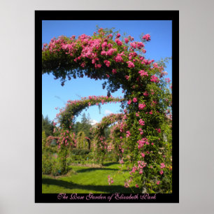 O Jardim Rosa de Elizabeth Park Poster