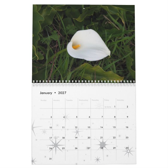 O jardim sonha o calendário 2011 (Jan 2027)