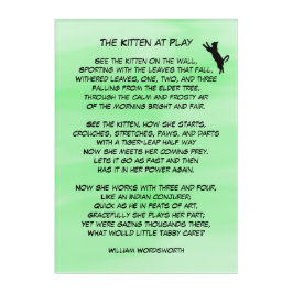 O Kitten em Play Cute Poem