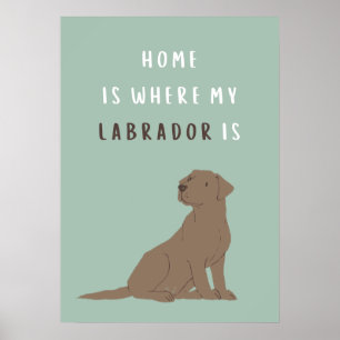O Labrador É Poster
