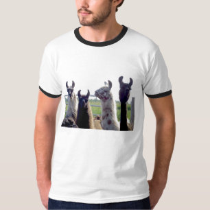 O lama dirige a camisa de T