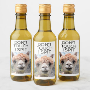 O lama engraçado da alpaca não toca no eu cospe