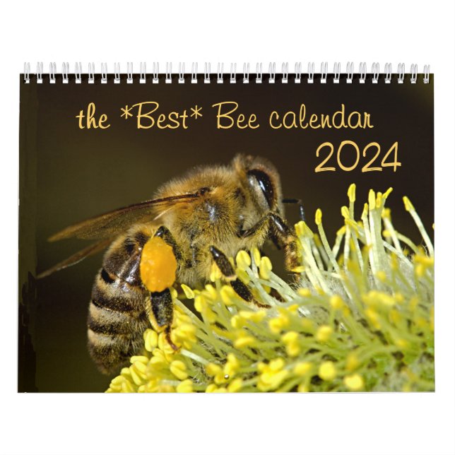 O Melhor Calendário de Bee 2024 com Fotografias e  (Capa)