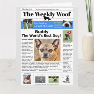 O melhor cartão de aniversário de cães do mundo