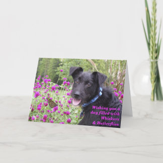 O monarca deseja o cartão