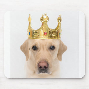 O Mousepad Cachorro