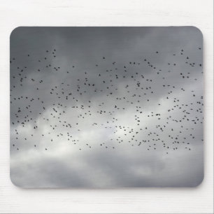 O Mousepad De Trava