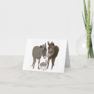 O Natal do Donkey e o Cartão de Ano Novo