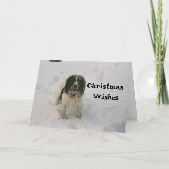 O Nowzad persegue o cartão de Natal (1) (Frente)