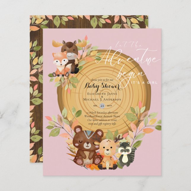 O ORÇAMENTO É UM Chá de fraldas DE ANIMAIS DE NAVE (Frente/Verso)