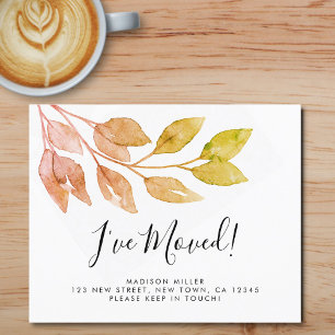 O orçamento que movi para o lançamento de outono