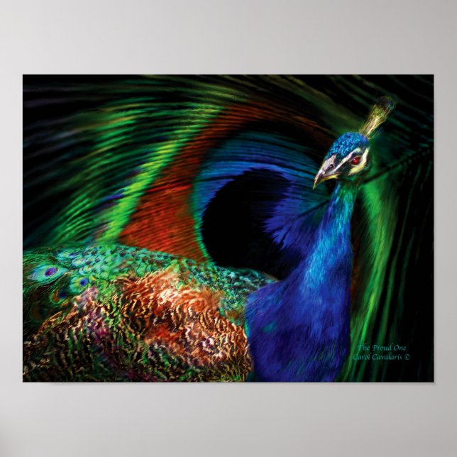 O Orgulhoso Poster de Arte Pavão/Impressão (Frente)