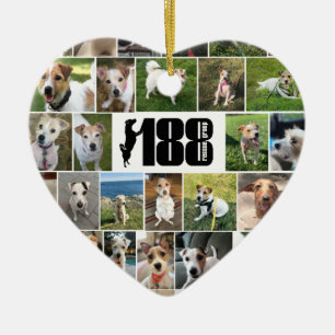 O Ornamento Cardíaco Lado 2 do Grupo de Emergência