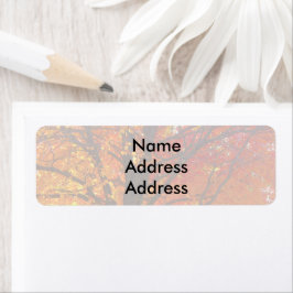 O outono deixa as etiquetas de endereço de retorno