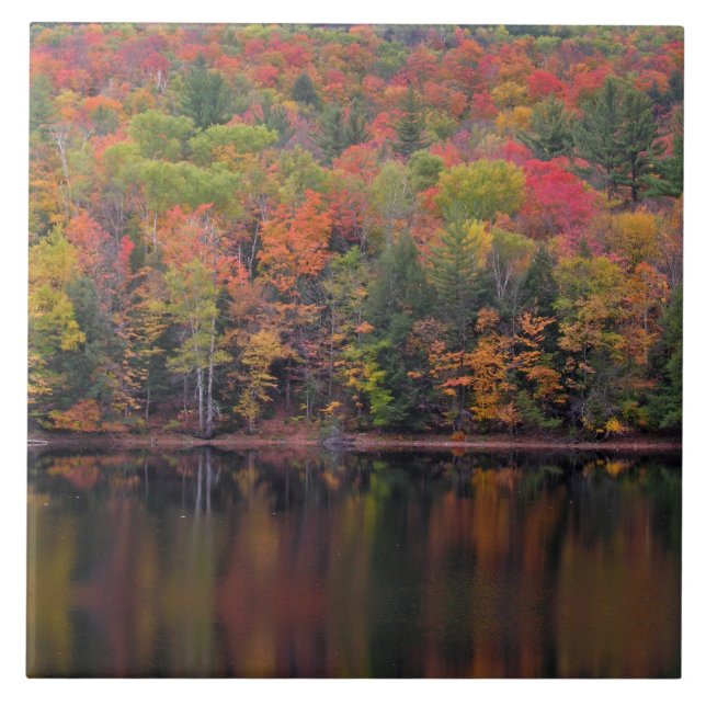 O outono deixa cair o Azulejo cerâmico da cena de  (Frente)