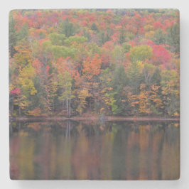 O outono deixa Porta copos de Pedra da Cena de Cor