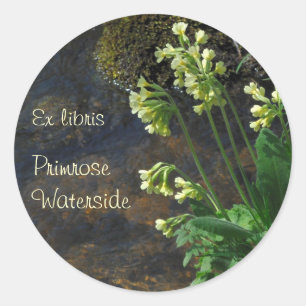 O oxlip amarelo floresce a etiqueta do bookplate