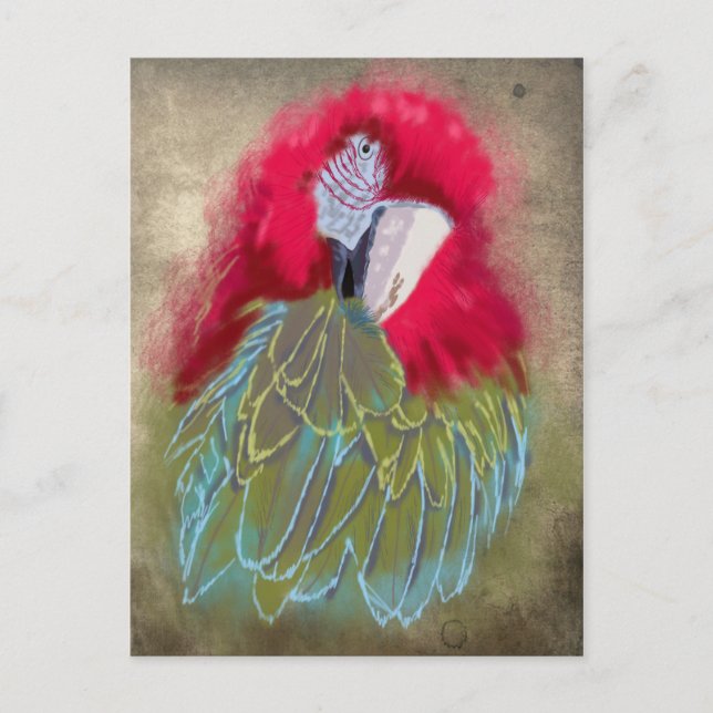 O papagaio - Cartão postal (Frente)
