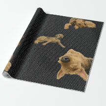 O Papel de Embrulho do Airedale Obstinado
