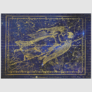 o papel dos tecidos da constelação virgem