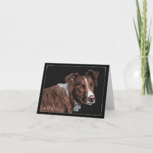 "O Pastor" - Cartão Border Collie