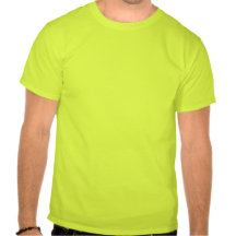O pato de Ding descola a camisa da aviação