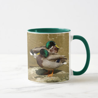 O pato selvagem Ducks a caneca