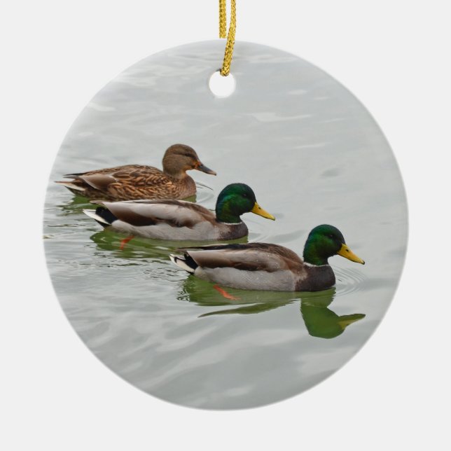 O pato selvagem ducks enfeites de natal (Frente)