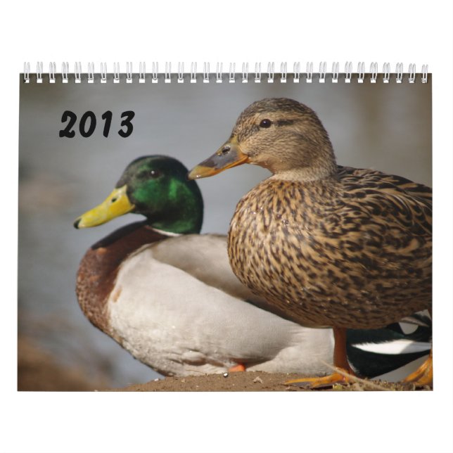 O pato selvagem Ducks o calendário 2014 dos (Capa)