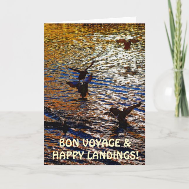 O PATO SELVAGEM DUCKS o cartão da foto do viajante (Frente)