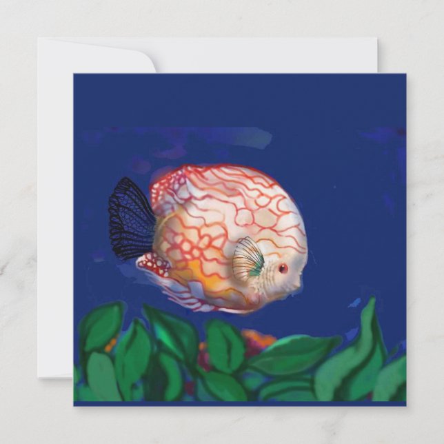 O peixe incrível (Frente)