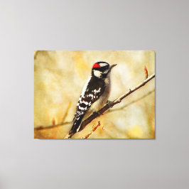 O pica-pau Downy Textured esticou o impressão das