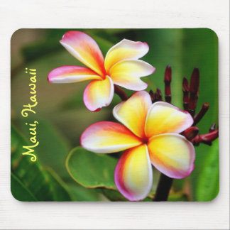 O Plumeria de Maui floresce Mousepad
