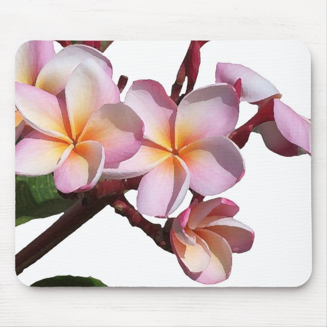 O Plumeria floresce Mousepad (Frente)