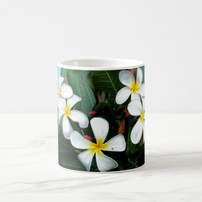 O Plumeria havaiano floresce a caneca (Centro)