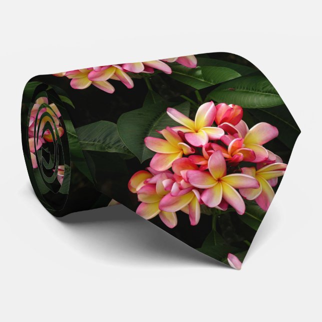 O Plumeria havaiano floresce a gravata dos homens (Rolled)