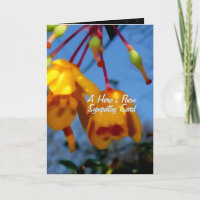 O poema de um herói, cartão de simpatia