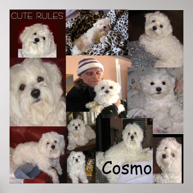 O Poster Cosmo por linha (Frente)