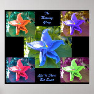 O poster da corriola