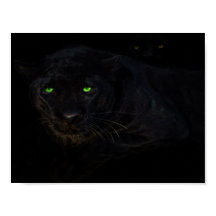 O poster da pantera preta