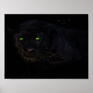 O poster da pantera preta