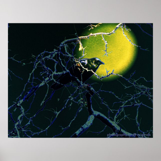 O poster de Corvos (Frente)