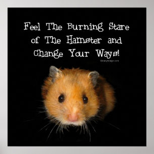 O Poster de Hamster