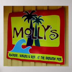 O poster de Molly