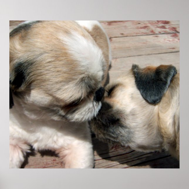 O Poster do Beijo (Frente)