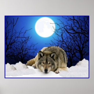 O Poster do Lobo de Vigilância